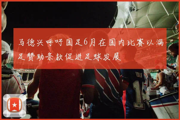 马德兴呼吁国足6月在国内比赛以满足赞助条款促进足球发展