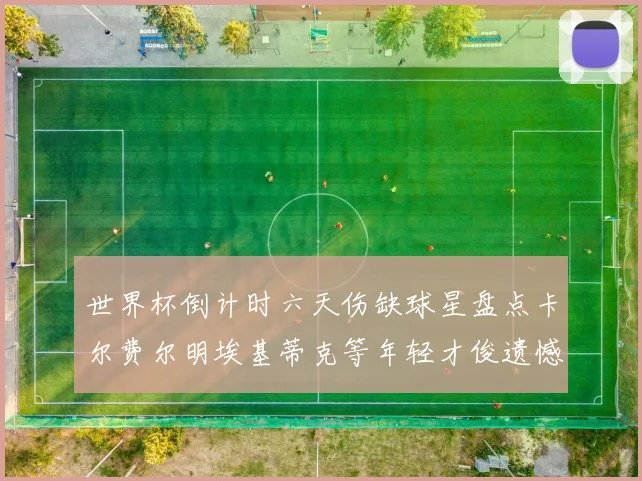 世界杯倒计时六天伤缺球星盘点卡尔费尔明埃基蒂克等年轻才俊遗憾缺席