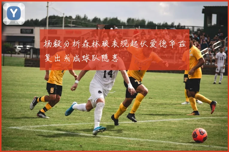 杨毅分析森林狼表现起伏爱德华兹复出或成球队隐患